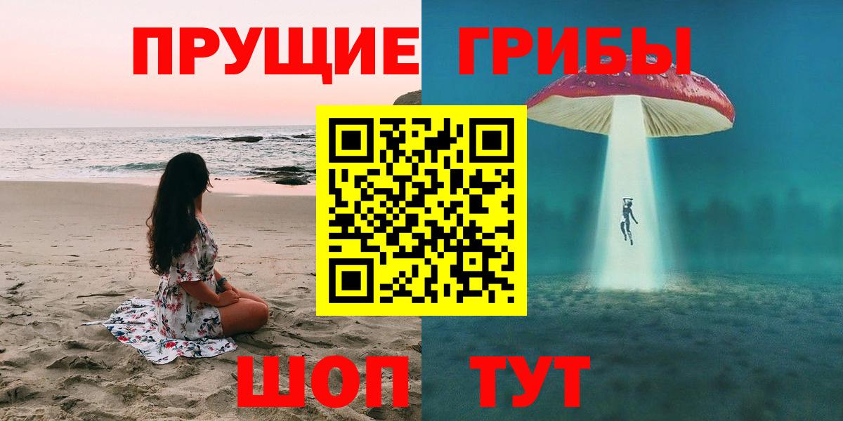 Торжок  Галлюциногенные грибы Psilocybine cubensis  Вход с VPN 