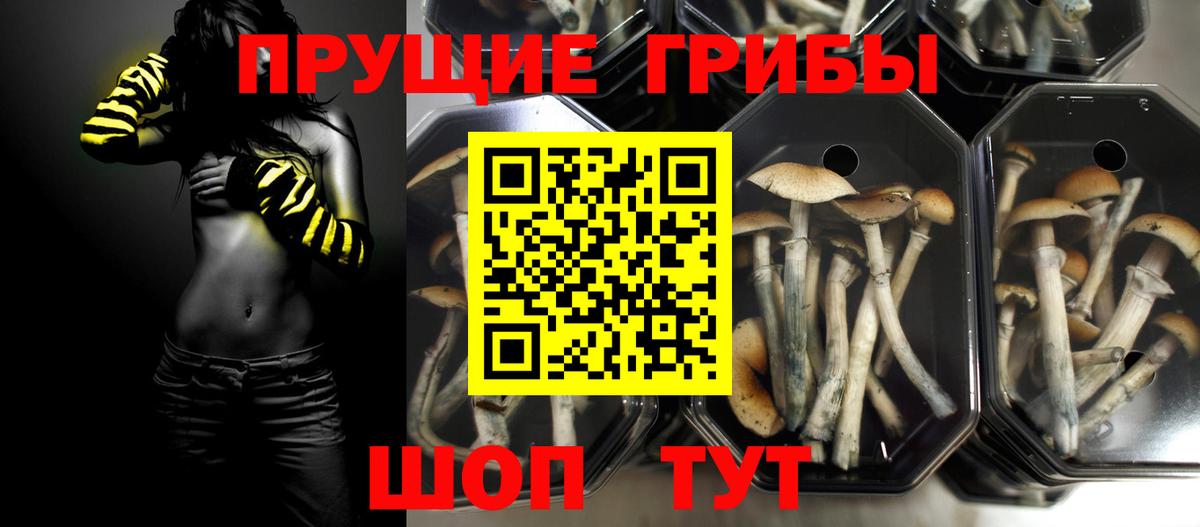 Галлюциногенные грибы MAGIC MUSHROOMS Торжок
