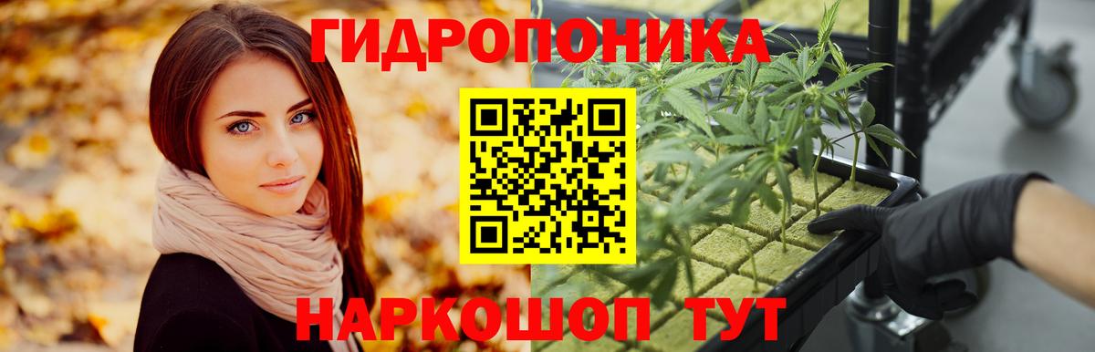Канабис ГИДРОПОН  Вход с VPN  Конопля планчик  МАРИХУАНА SATIVA & INDICA  Торжок 